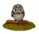 Tiny Owl grey