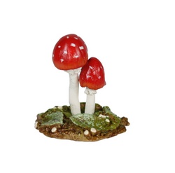 Tiny red toadstools with tiny white spots