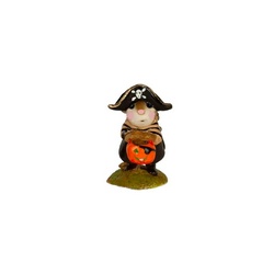 Mouse in pirate halloween costume