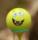 Balloon - closeup